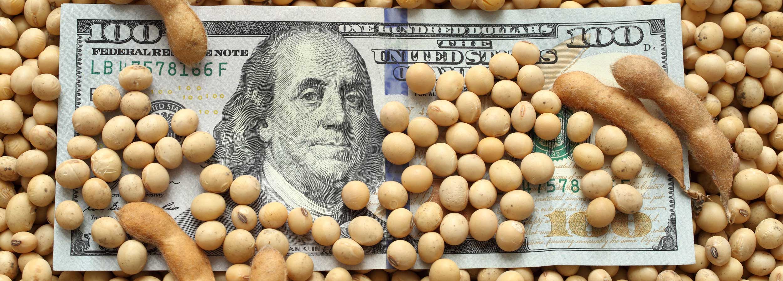 soybean investments