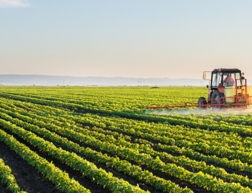 WSA writes letter in support of tool to manage SCN, SDS