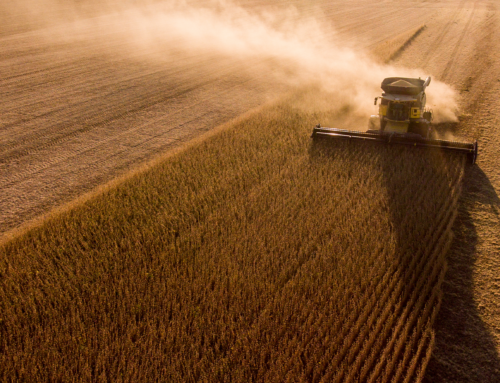 ‘Go time’: 2024 harvest picks up in Wisconsin