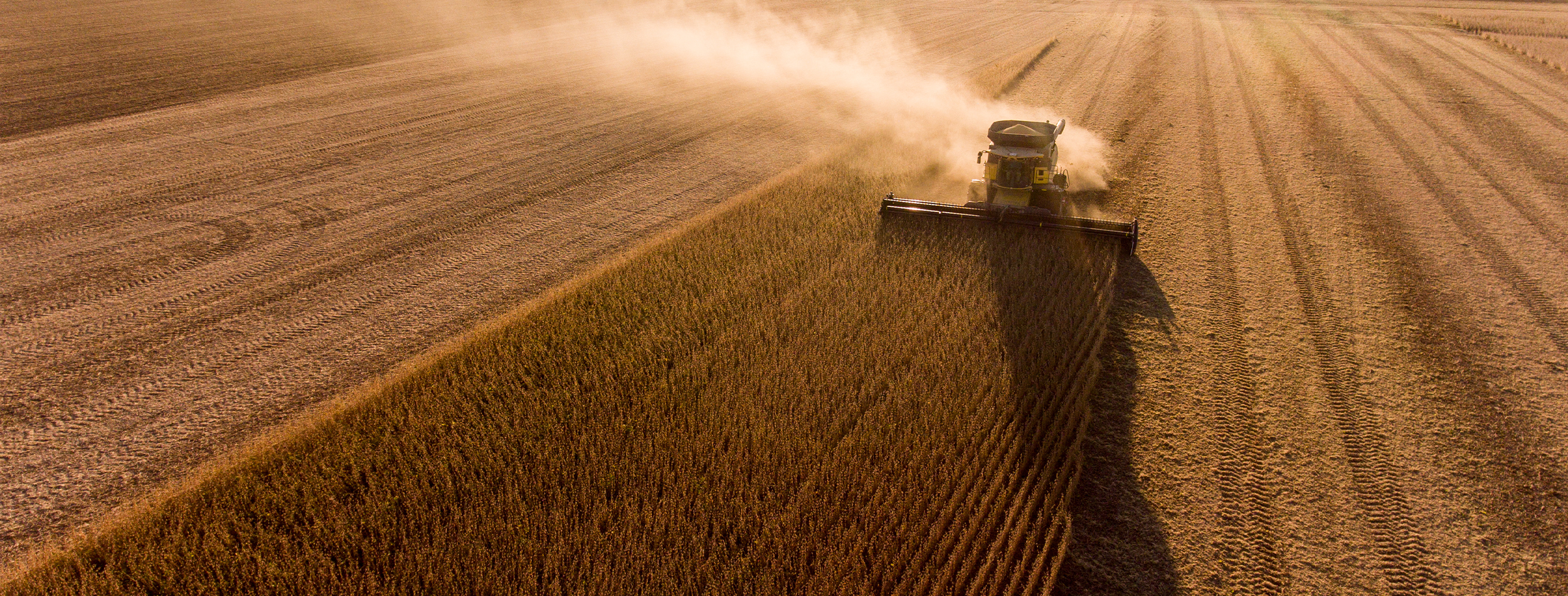 soybean news, wisconsin soybean marketing board