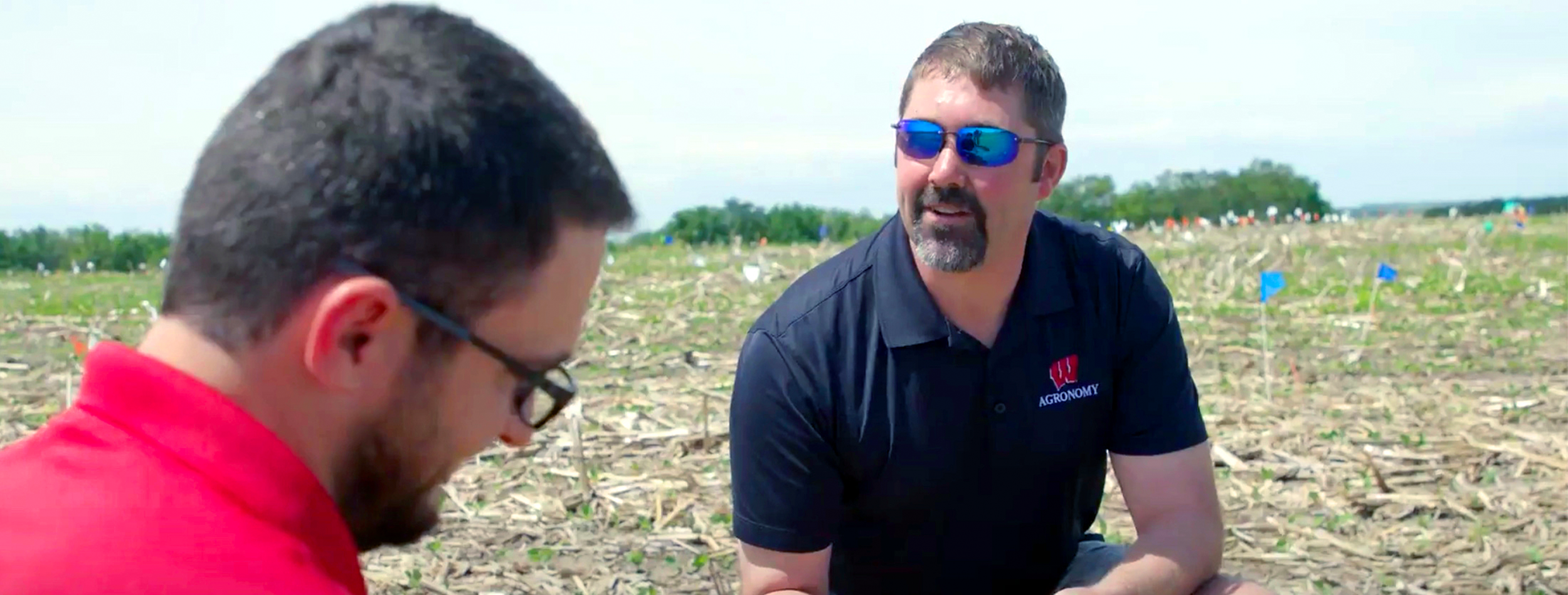 soybean news, university of wisconsin madison