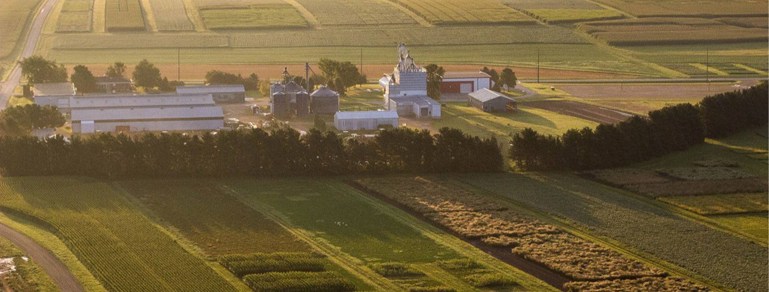 Arlington Research Station soybean news, checkoff news, soybean research