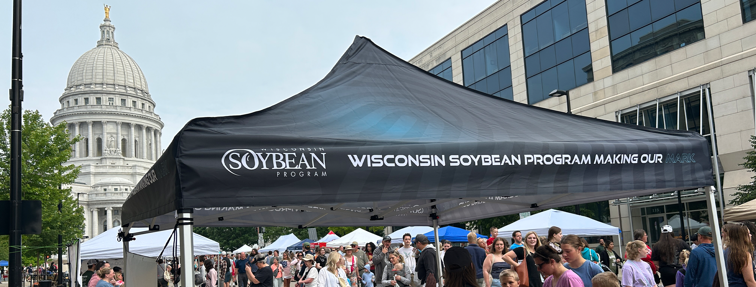 soybean news, Wisconsin soybean marketing board