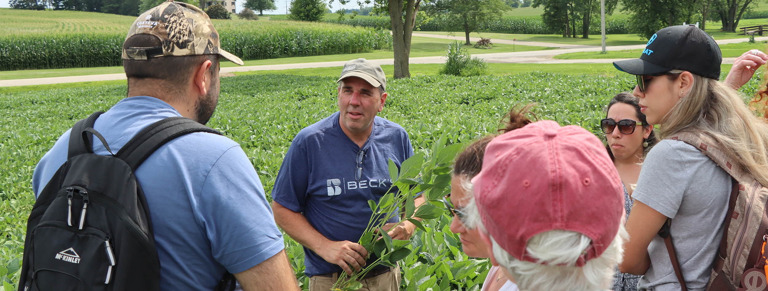 soybean news, Wisconsin soybean association