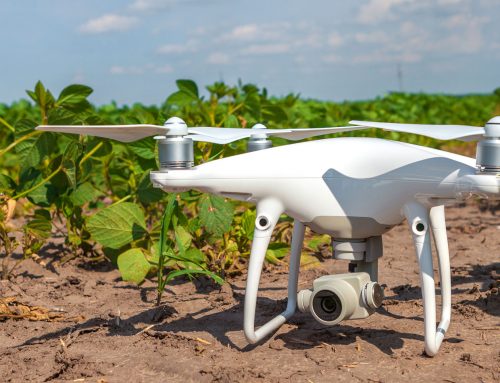 AI growing roots in soybean farming