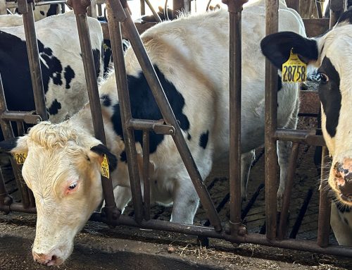 International dairy business leaders visit Wisconsin to explore U.S. Soy opportunities